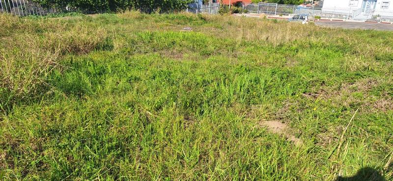 0 Bedroom Property for Sale in Tergniet Western Cape